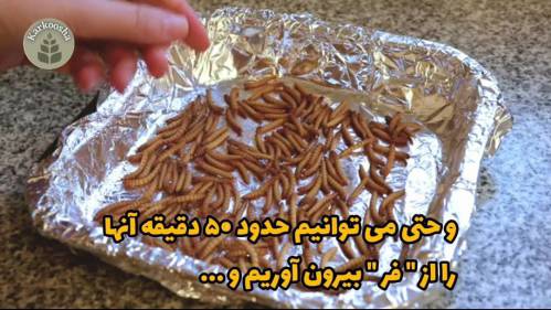 چگونه میلورم را در خانه خشک کنیم؟